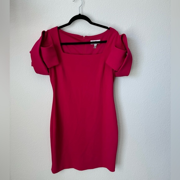 Badgley Mischka Dresses & Skirts - Belle Badgley Mischka Pink Ruffled Puff Sleeve Dress - 8